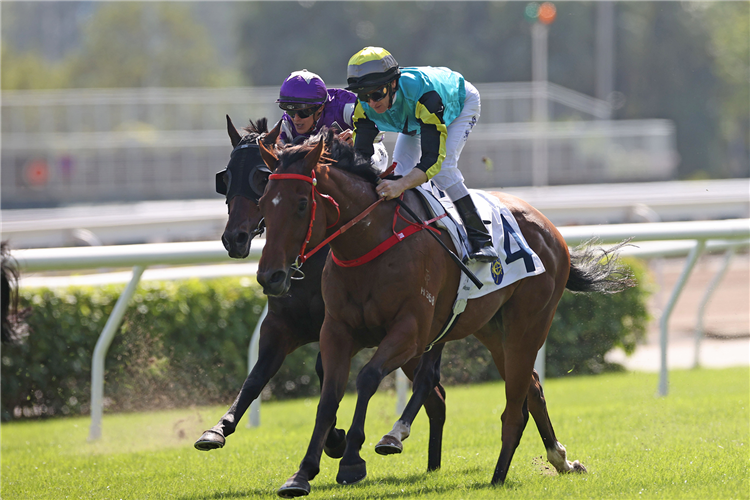 Raging Blizzard heads to Happy Valley in search of city riches