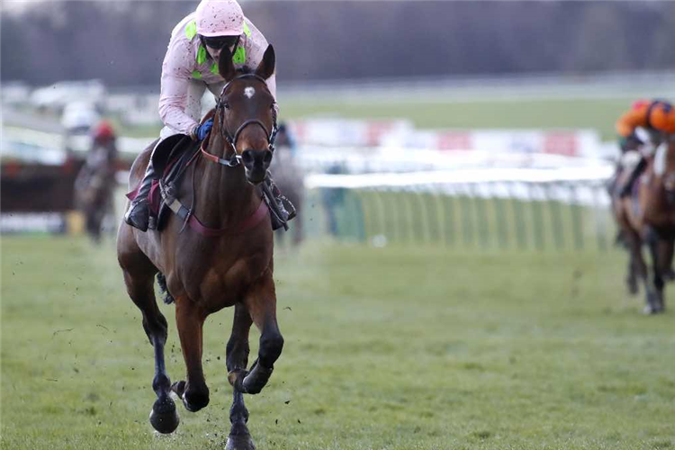 Royale Pagaille ruled out of King George VI Chase with a sore foot