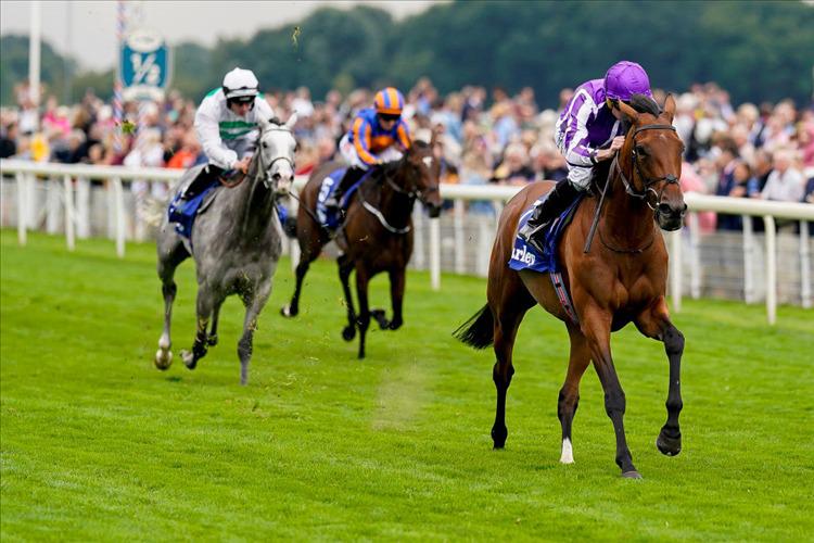 Preview: York Stakes