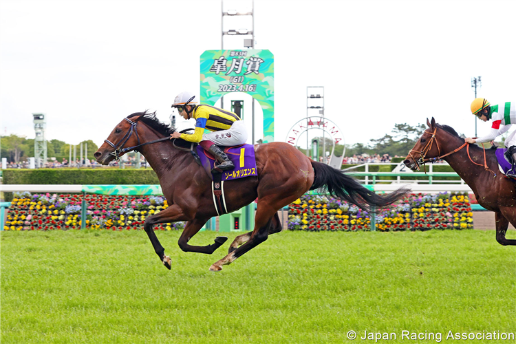 Sol Oriens Claims Satsuki Sho (Japanese 2000 Guineas) Victory in Third Start