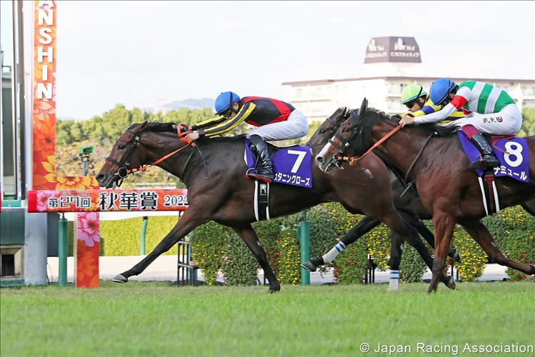 Shuka Sho (G1) Race Preview : Kyoto - Sunday, 15th October 2023