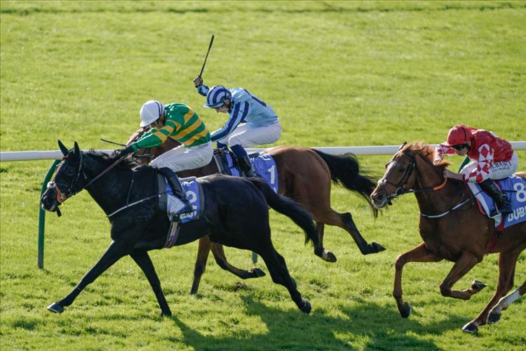 Shunter shines in Newmarket Cesarewitch