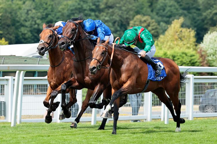 Preview: Coral Eclipse