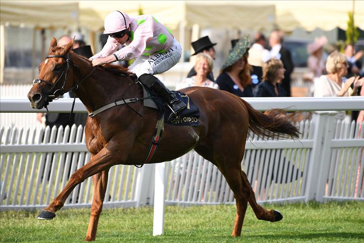 Willie Mullins high-class hurdler made a successful return to the flat when landing the Copper Horse Handicap at Royal Ascot in June and will attempt to book his Melbourne Cup ticket in the Ballyroan Stakes at Naas on Monday.