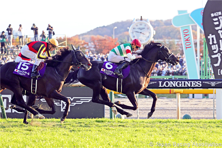 Japan Cup (G1) Race Preview : Tokyo - Sunday, 26th November 2023