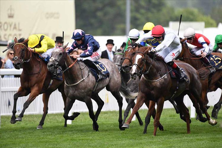 Preview: Desmond Stakes