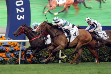 Wide open Stewards Cup presents golden opportunity for Voyage Bubble