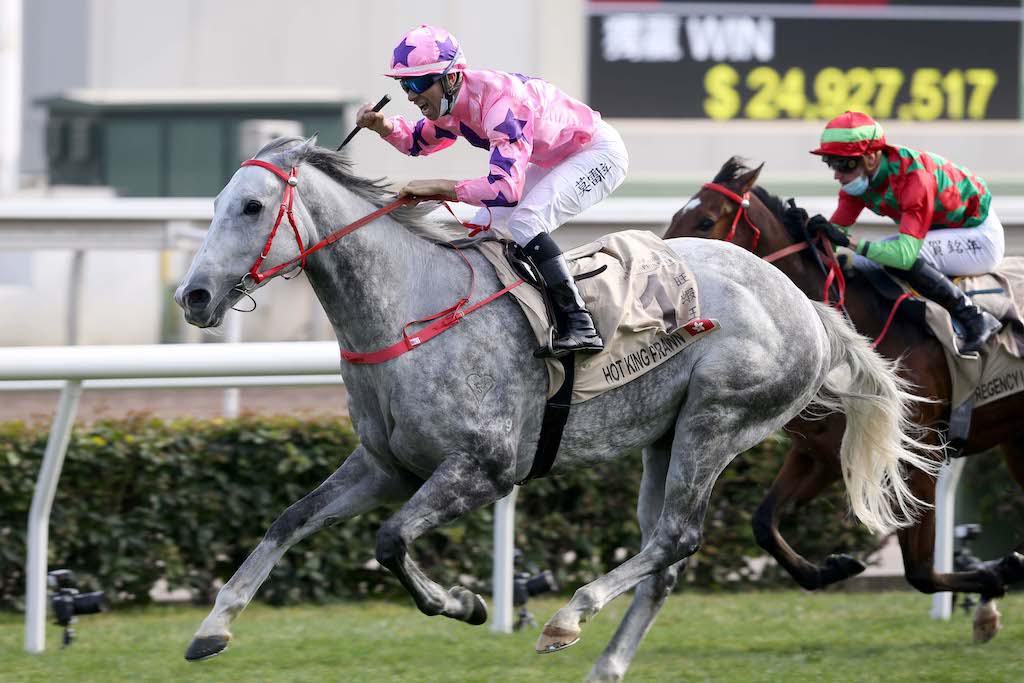 Hot King Prawn has officially been retired from racing.