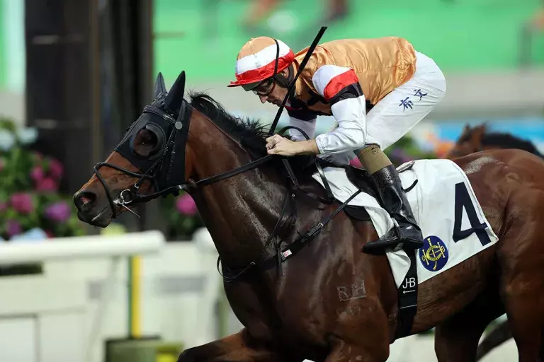 Hall eyes Hong Kong Derby with Atullibigeal