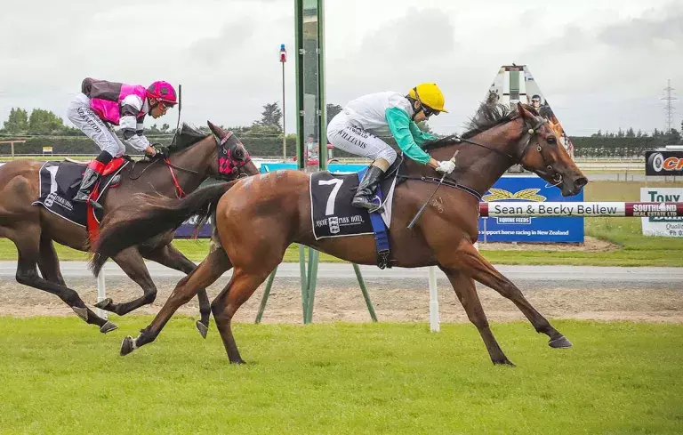 Thorndon Mile in Winsloe's sights