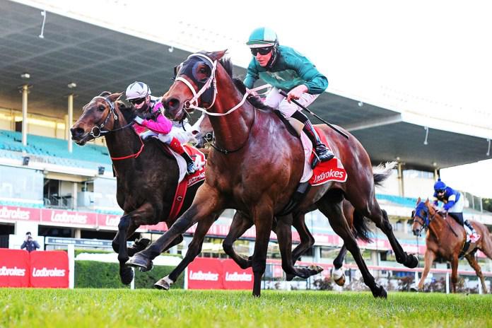 Humidor out for Australian Cup repeat