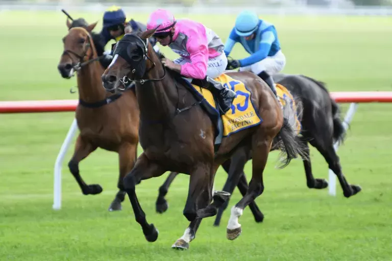 Forsman's filly to go again in Eulogy