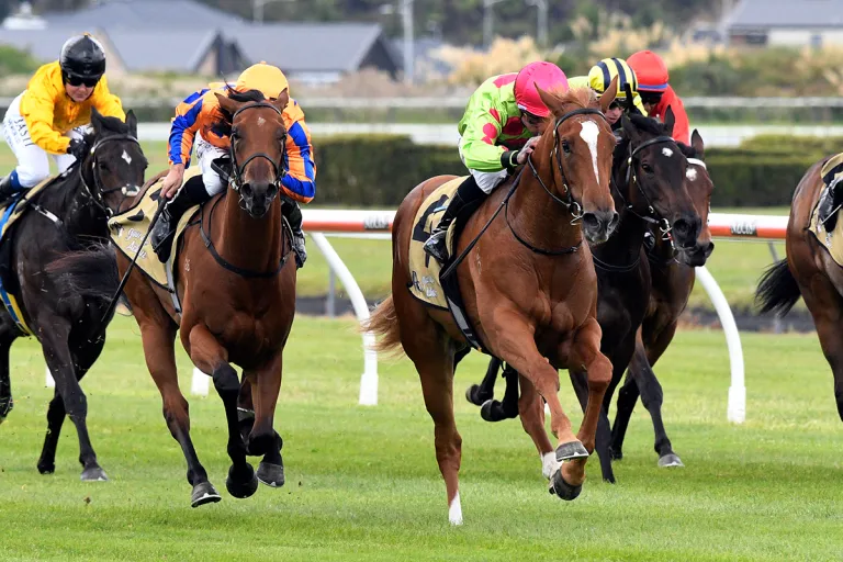 Pike opts for Te Rapa with Impendabelle