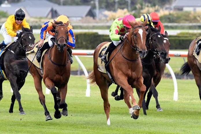 Pike trio primed for stakes tests