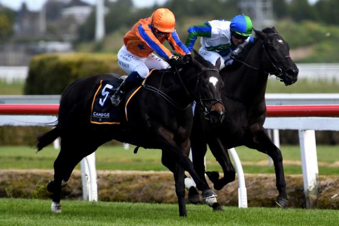 Richards provides quinella in Breeders' Stakes