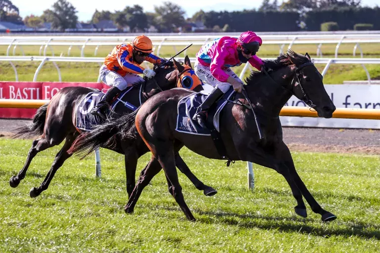 Local stable out in force at Ruakaka