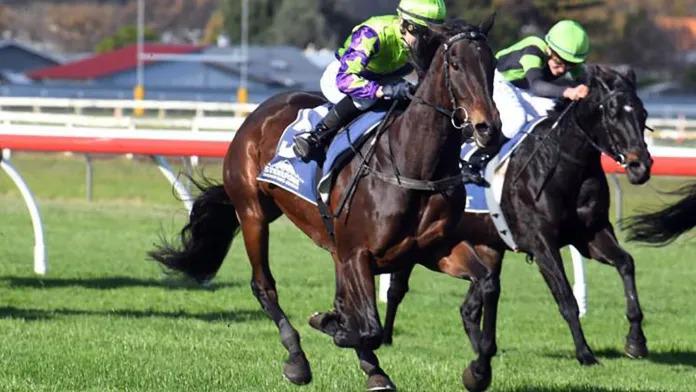 Reid hoping sassy mare delivers