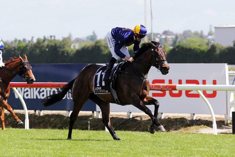 Consistent mare chasing black-type win