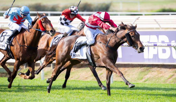 Victorian targets for Reliable Man mare