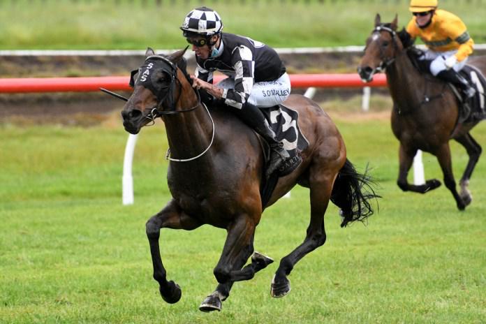 Highly-rated Justaskme in search of Captain Cook easing