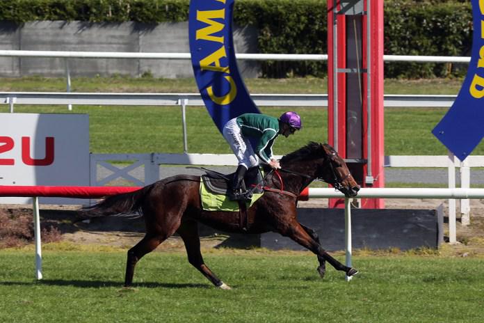 Top Kiwi mares ready for Queensland challenge