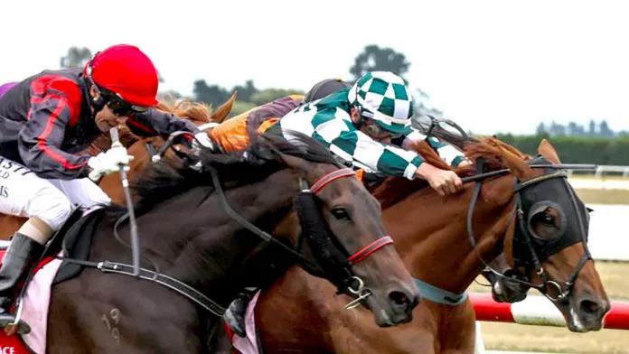 Timaru Cup shared between promising gallopers