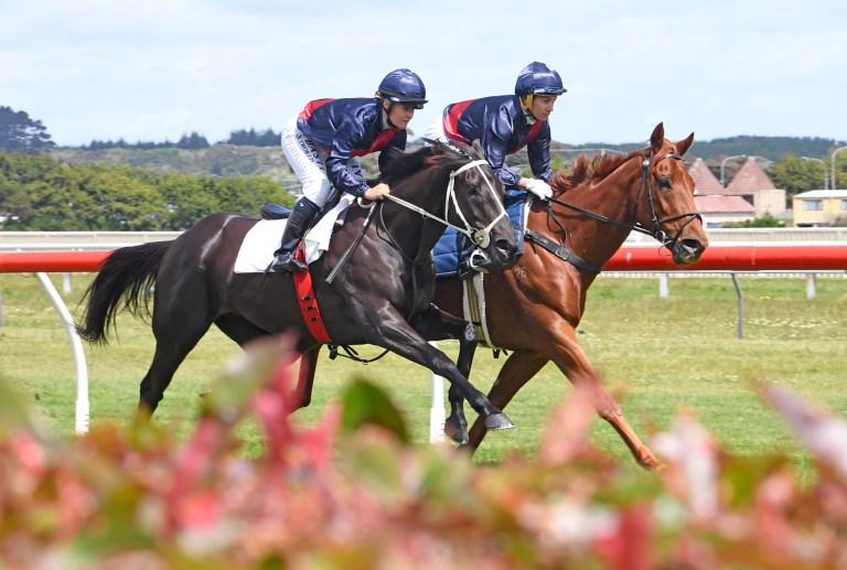 Duo impress in Wanganui gallop