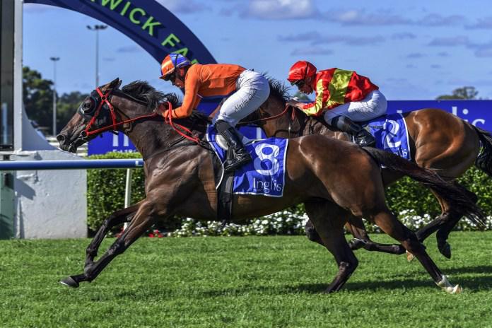 Kaapfever Rules the roost on Australia Day