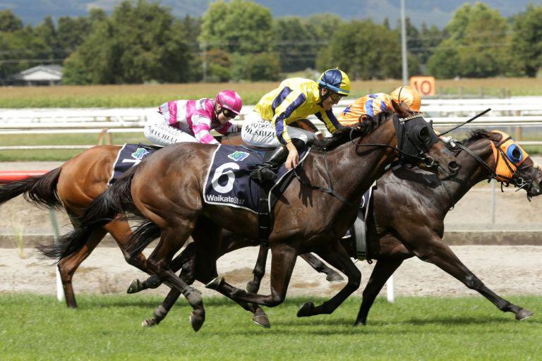 Karman Line gets special win in Lisa Chittick Plate