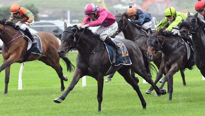 Magical finish secures Championship Stakes