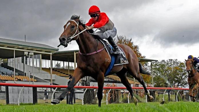 Bright future tipped for debut winner