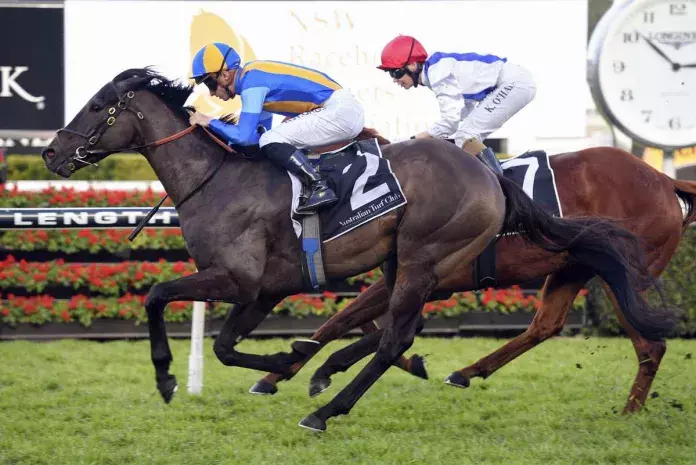 Baker chasing Hawkesbury Gold with Kiss The Bride
