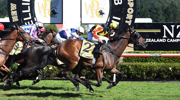 Lincoln King heads Wellington Cup quinella for Marsh