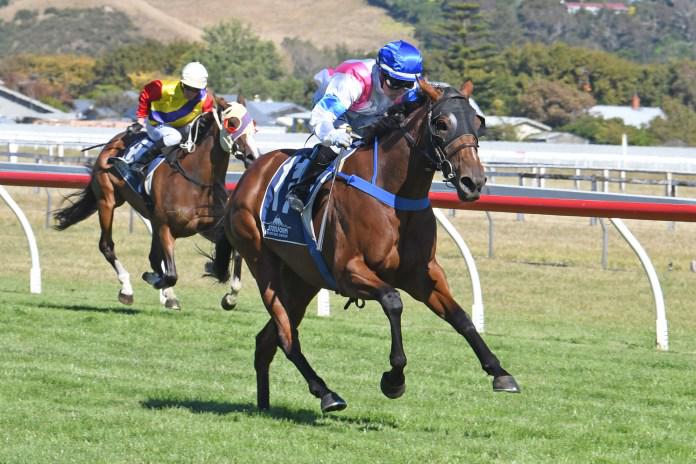 SA test for exciting filly