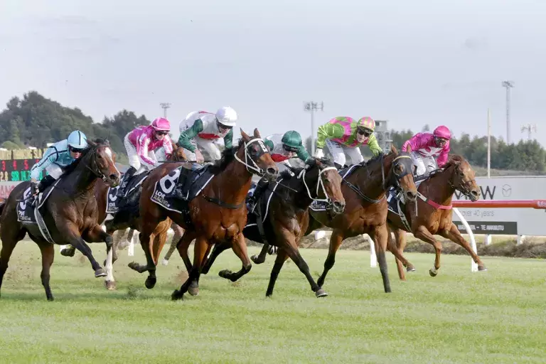 Promising fillies looking for repeat result