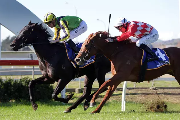 Leedox proves too strong in Pukekohe feature