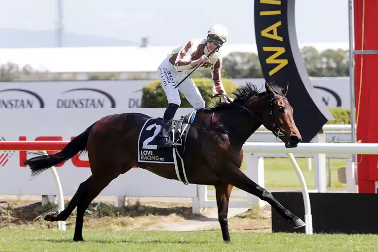 All systems go for unbeaten favourite