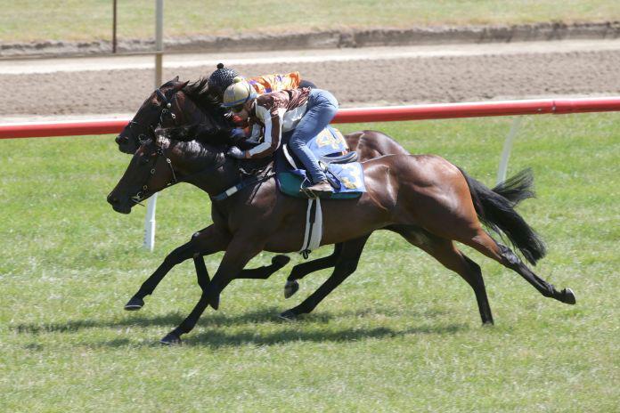 Solid hit-out for Railway favourite