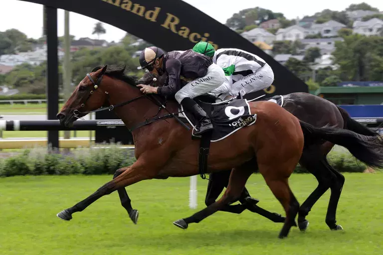 Northland Breeders first-up for Lickety Split
