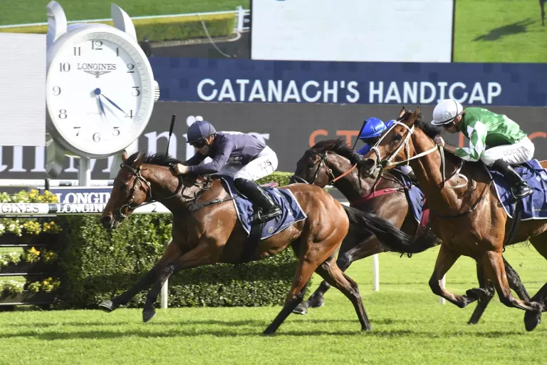 Tylers poised to plunder Riccarton spoils again