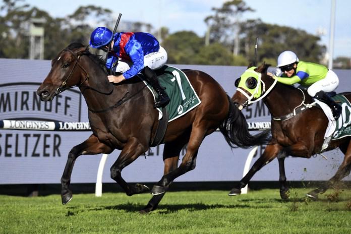 Everest slot for exciting Kiwi