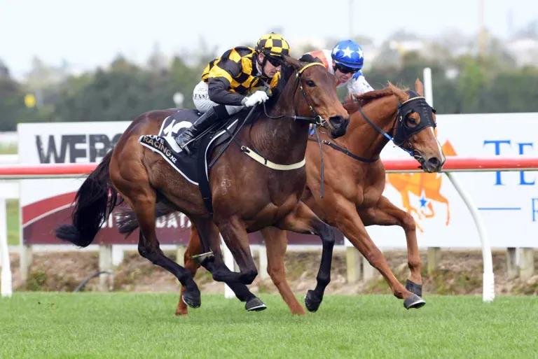 Luberon out to continue winning run