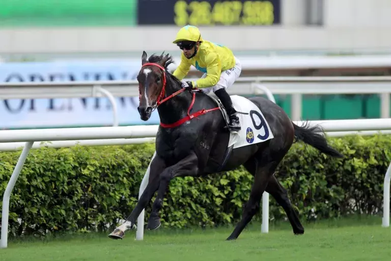Lucky Sweynesse stars for kiwi breds in Hong Kong
