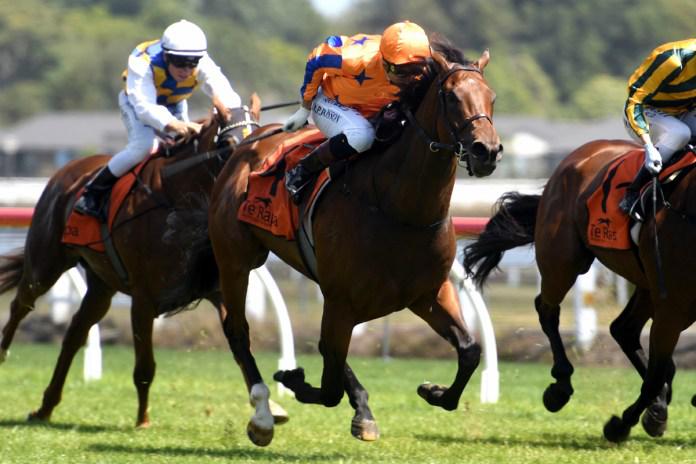 Derby prospects on show at Te Rapa