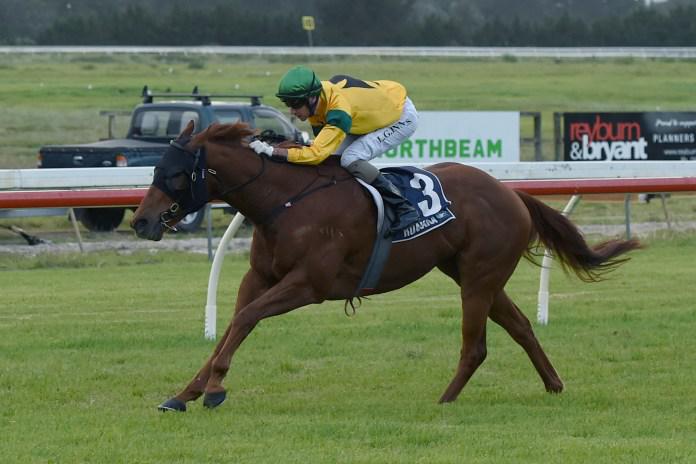Promising stayer Makzabeel a potential Cups horse