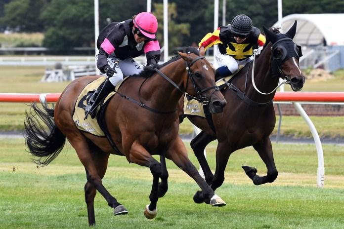 House of Cartier primed for Tauherenikau task