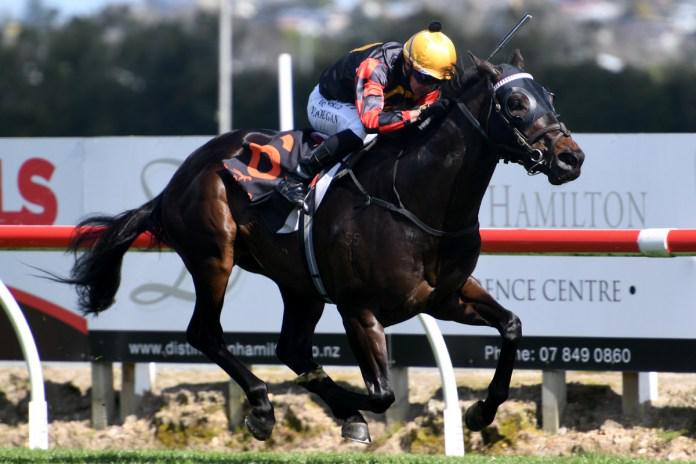 Ormsby produces classic contender at Te Rapa