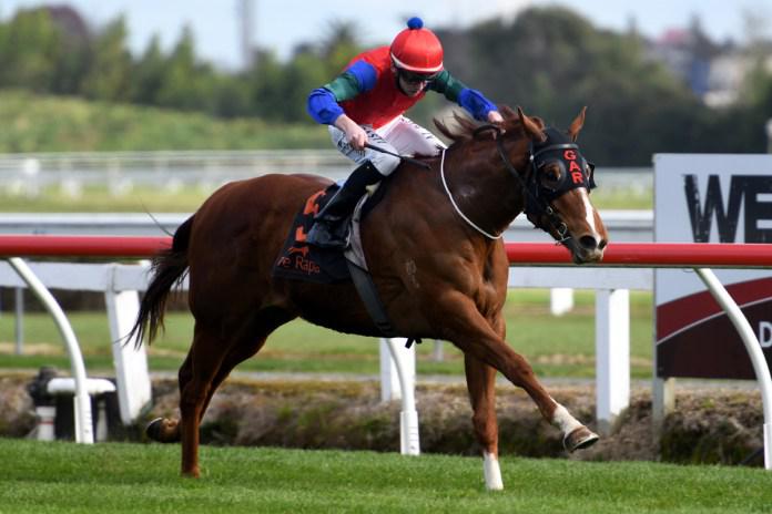 Sweet Te Rapa hitout for BCD Group Sprint contender