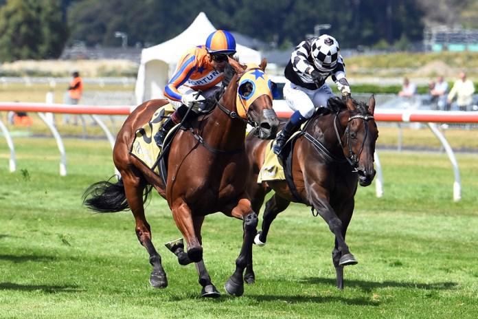 Sinarahma set for another Group One target