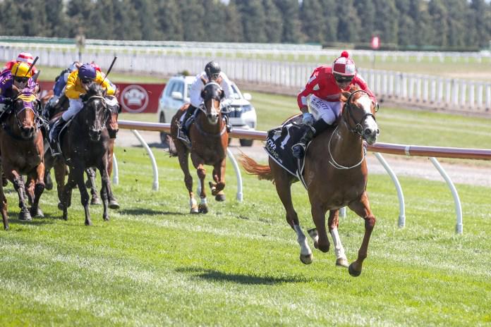 Miss Tycoon Rose back with a vengeance at Riverton